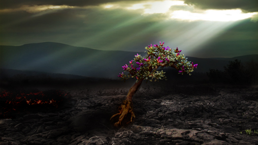 digital art, life from death