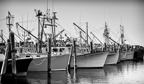 photograph of lobster boats