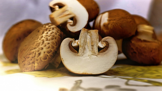 product photography sample image