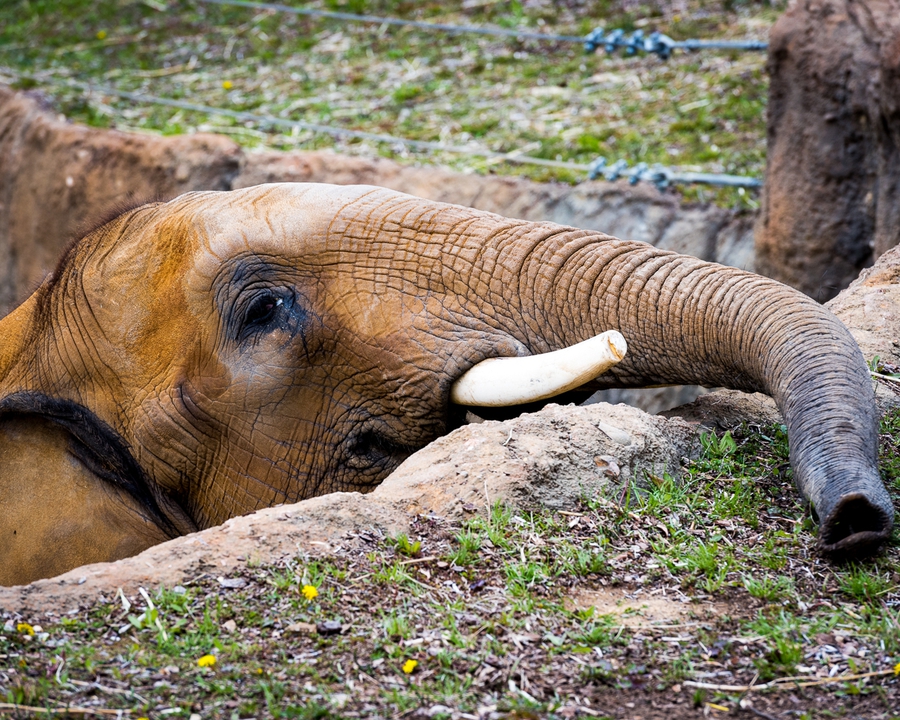 Is there food up here?
