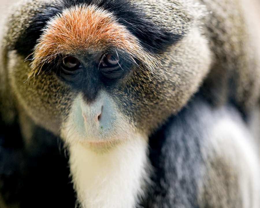 Did You Call Me Ginger?